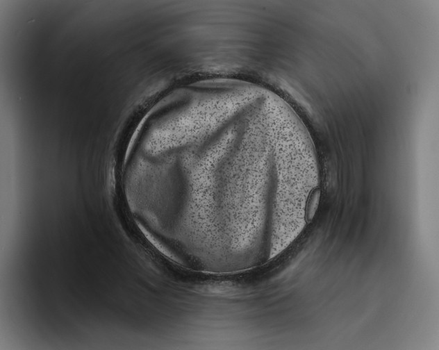 X0000094190685200711161748