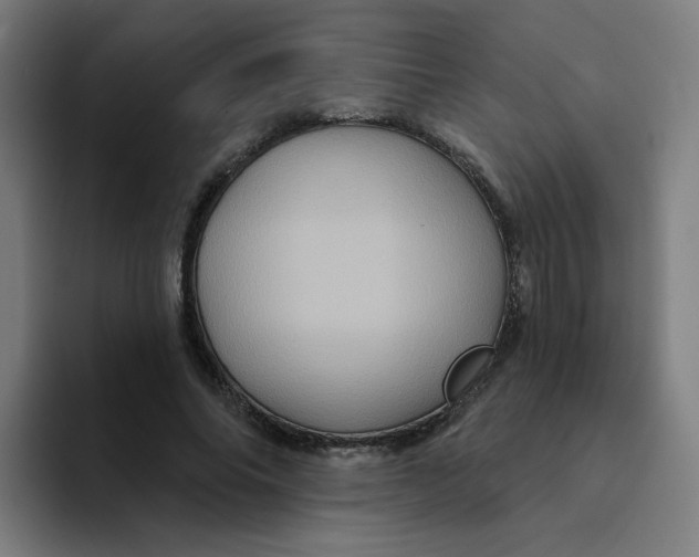 X0000094190686200711161748