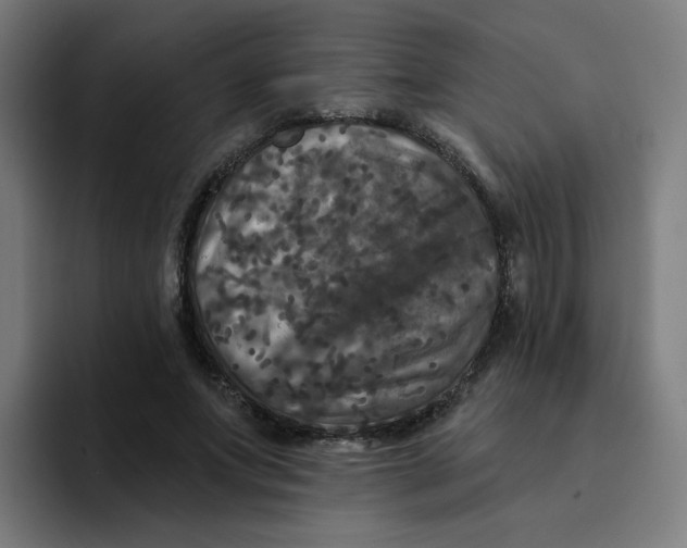 X0000094190687200711161748