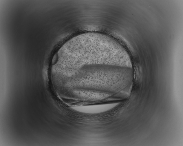 X0000094190688200711161748