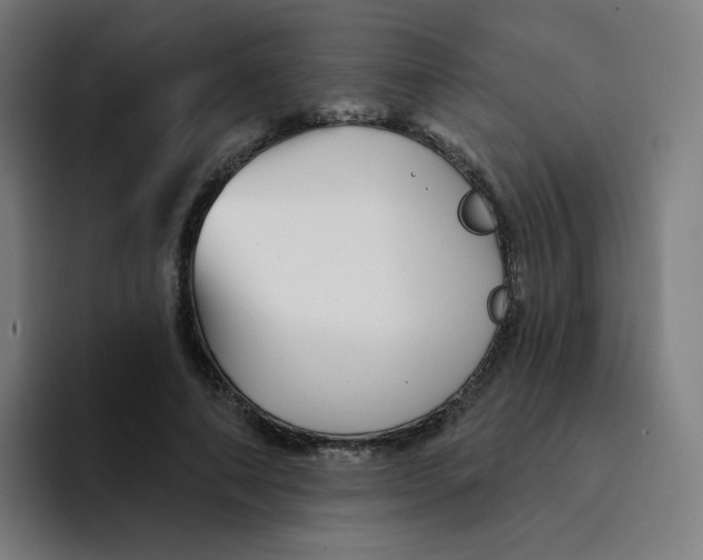 X0000094190690200711161748