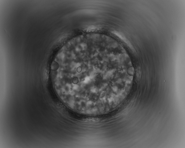 X0000094190691200711161748