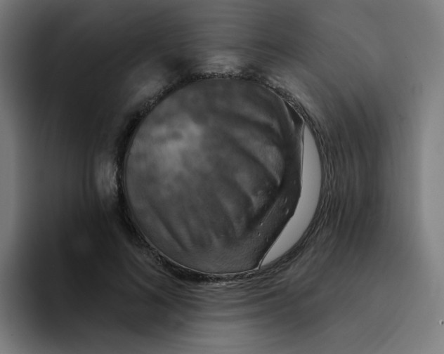 X0000094190692200711161748