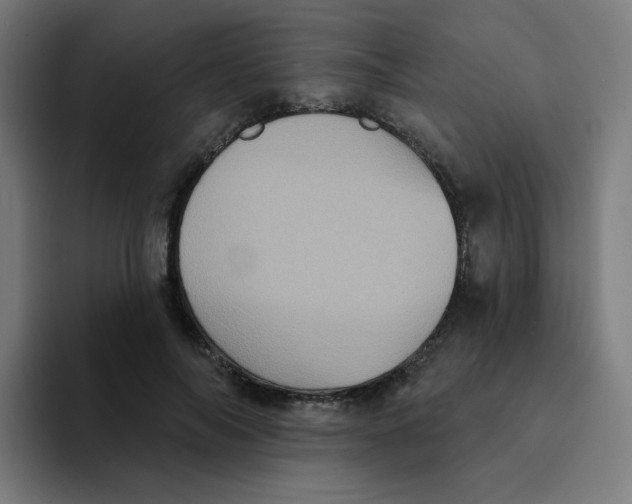 X0000094190694200711161748