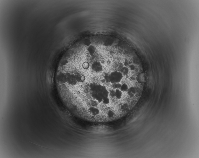 X0000094190695200711161748