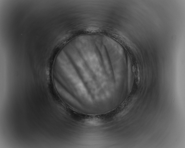 X0000094190696200711161748