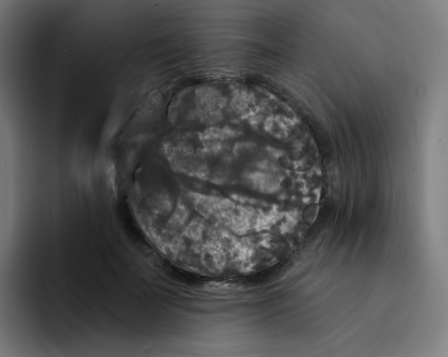 X0000094190699200711161748