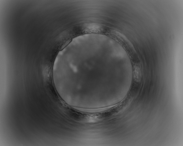 X0000094190701200711161748