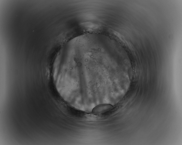 X0000094190703200711161748