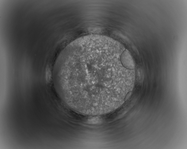 X0000094190705200711161748