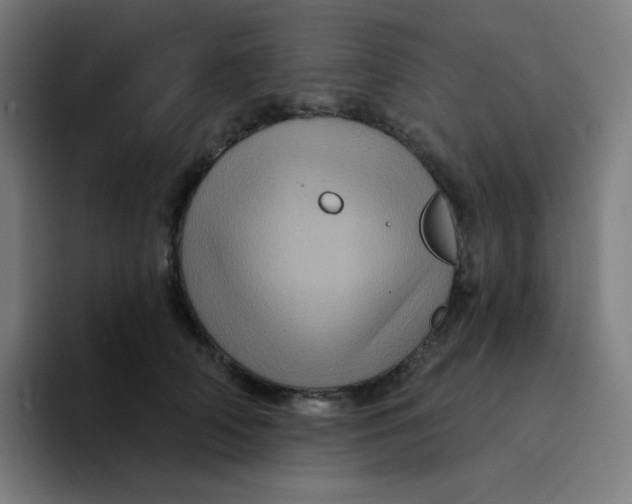 X0000094190706200711161748