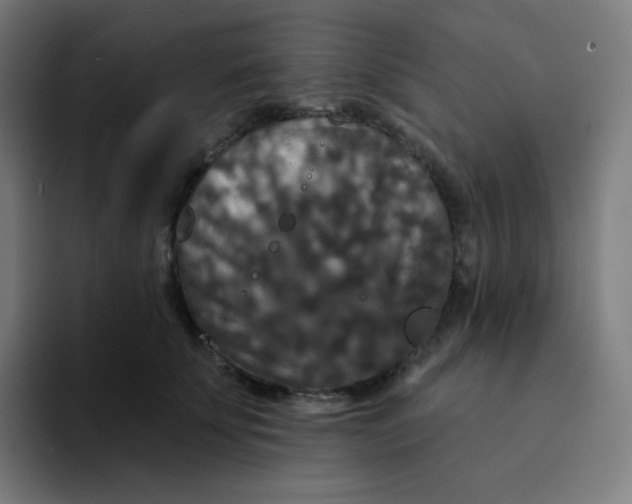 X0000094190707200711161748