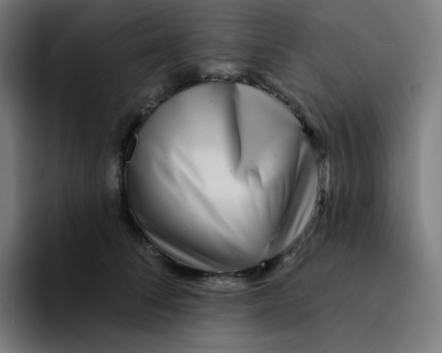 X0000094190708200711161748