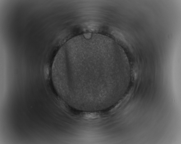 X0000094190709200711161748