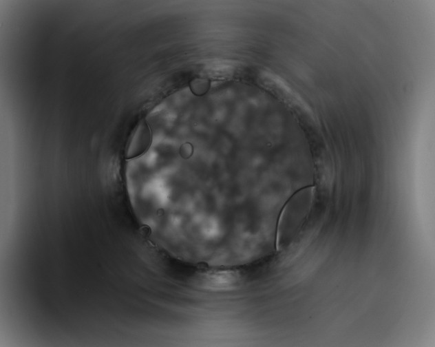 X0000094190711200711161748