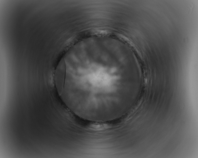 X0000094190712200711161748