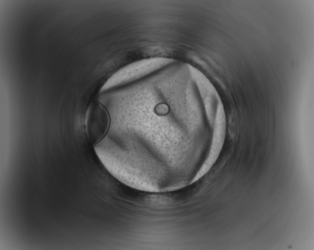 X0000094190714200711161748