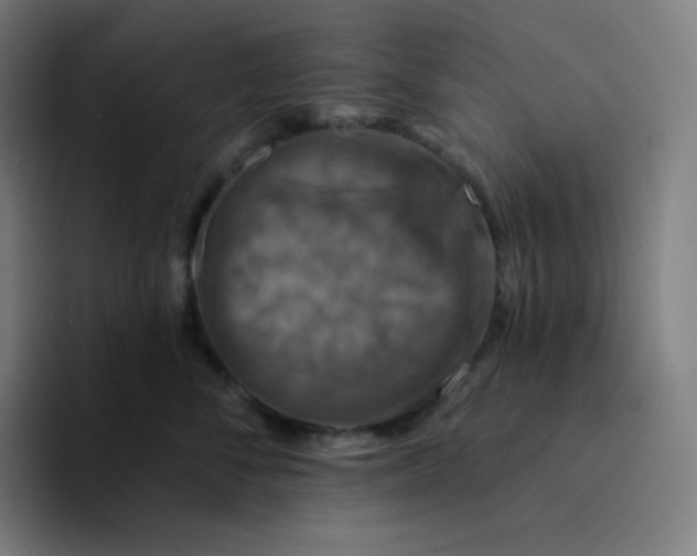 X0000094190716200711161748