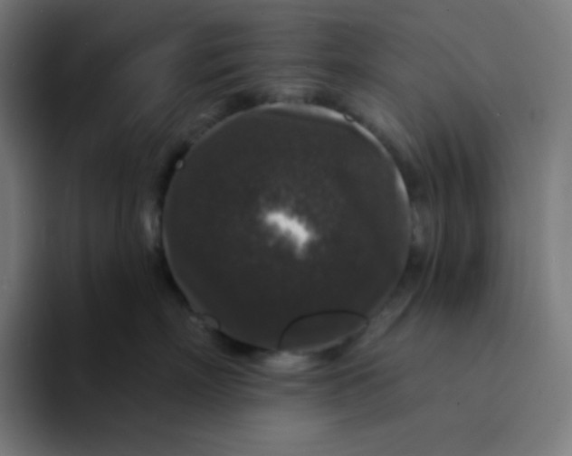 X0000094190718200711161748