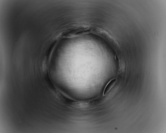 X0000094190719200711161748