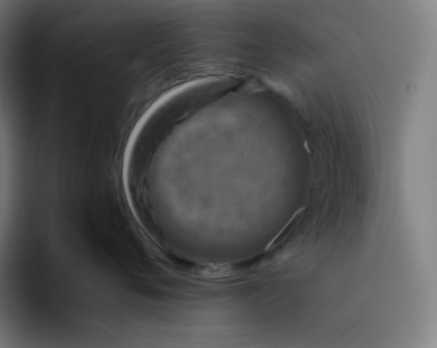 X0000094190720200711161748