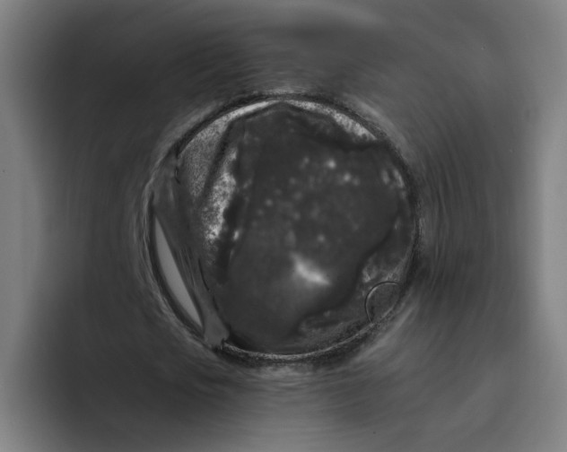 X0000094190721200711161747