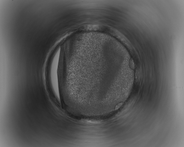 X0000094190722200711161747