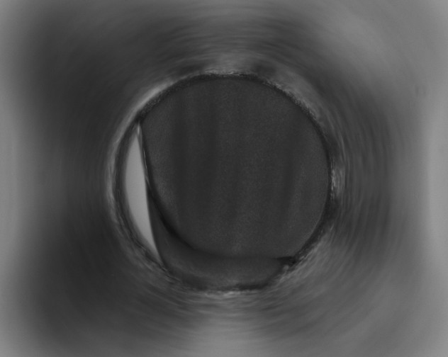 X0000094190724200711161747