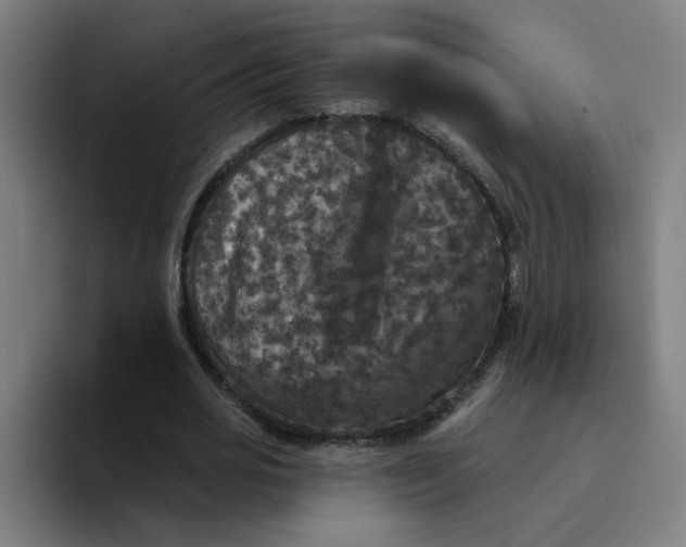 X0000094190725200711161747