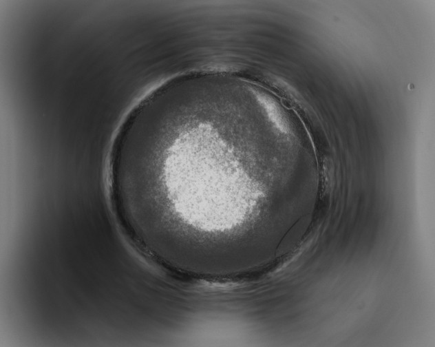 X0000094190726200711161747