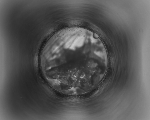 X0000094190729200711161747