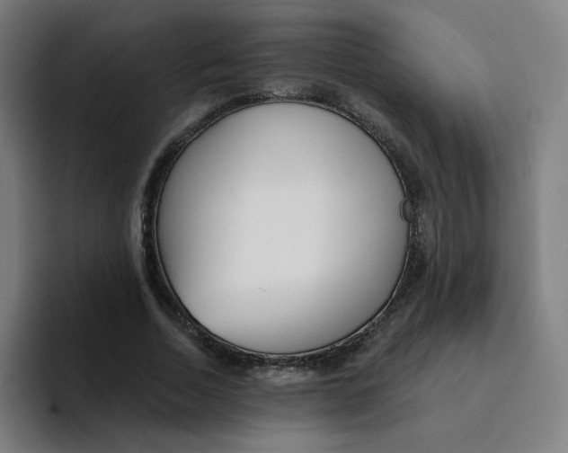 X0000094190730200711161747