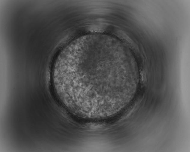 X0000094190733200711161747