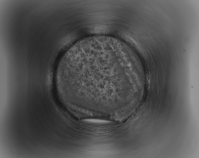 X0000094190735200711161747