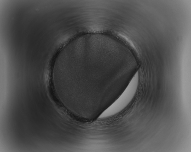 X0000094190736200711161747