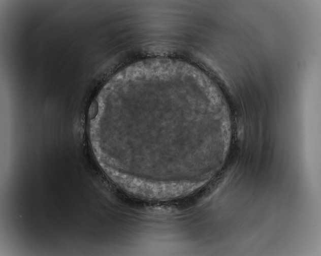 X0000094190737200711161747