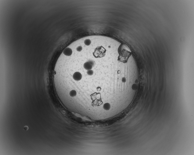 X0000094190738200711161747