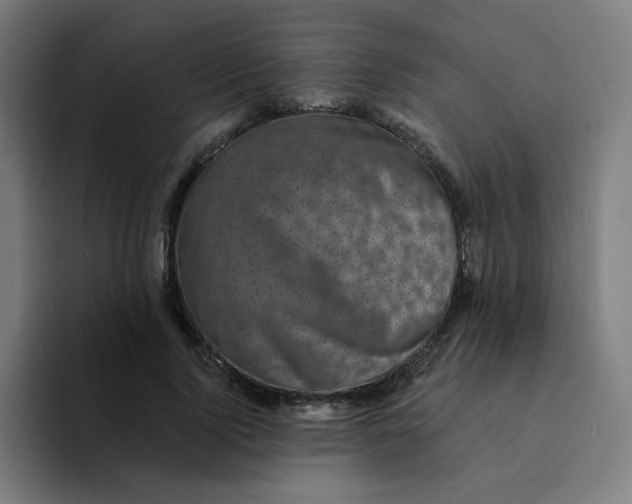 X0000094190740200711161747