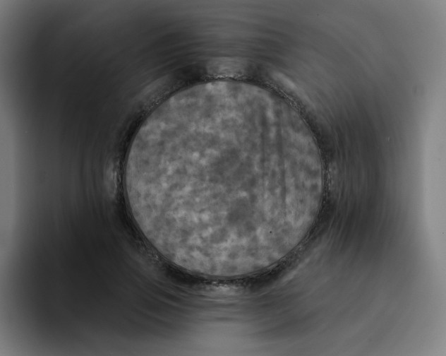 X0000094190741200711161747