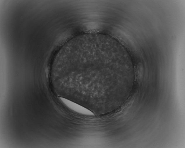 X0000094190742200711161747