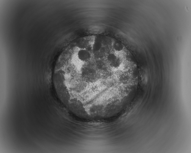 X0000094190745200711161747