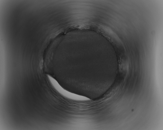 X0000094190748200711161748