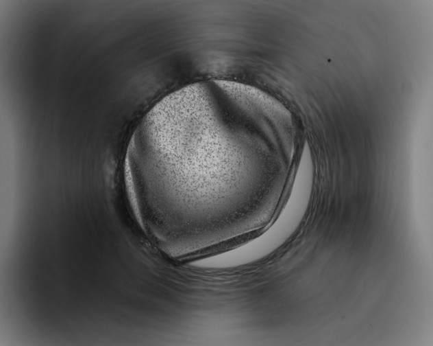 X0000094190750200711161748