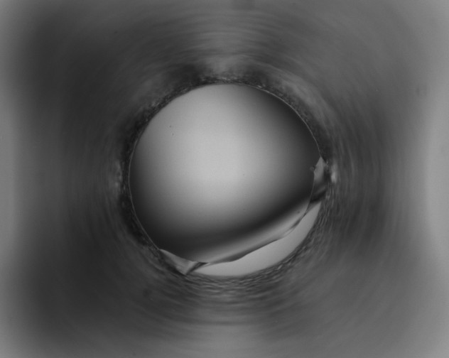 X0000094190752200711161748