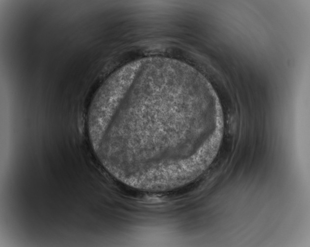 X0000094190753200711161748