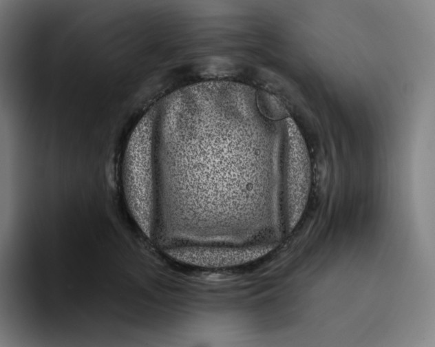 X0000094190755200711161748