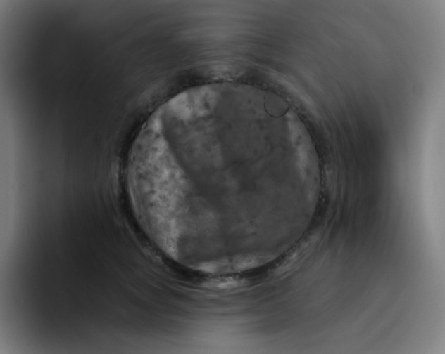 X0000094190757200711161748