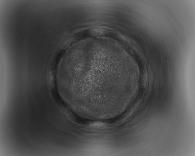 X0000094190759200711161748