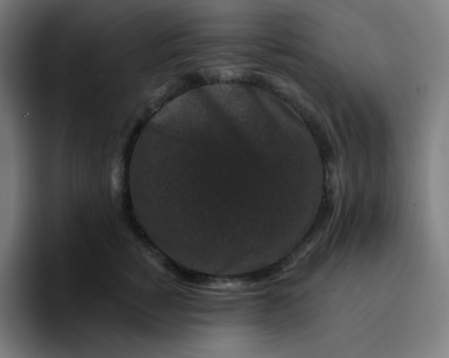 X0000094190760200711161748