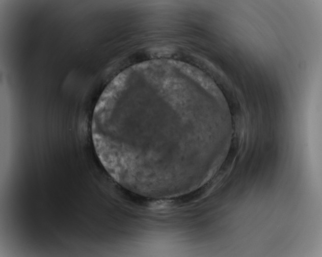 X0000094190761200711161748